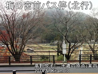 梅の宮バス停北行