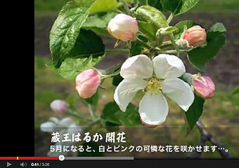 XN[摜2