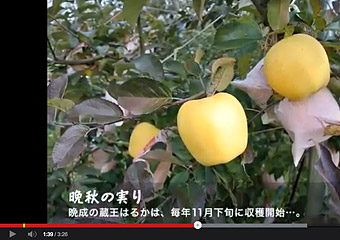 XN[摜3