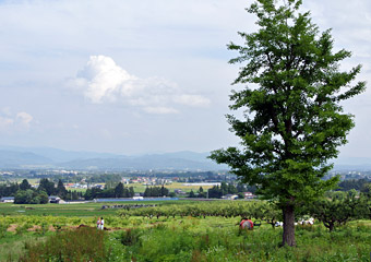 LȔ_