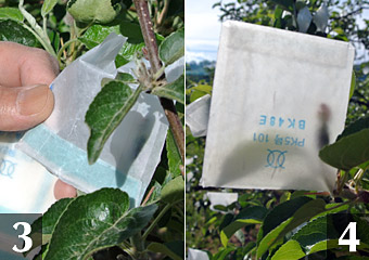 Ǝ菇2