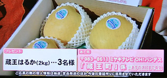 ͂邩MtgZbg