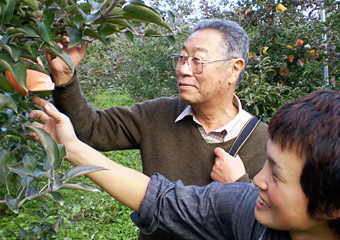 c搶2011N2