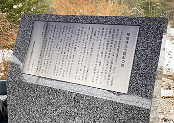 蕶
