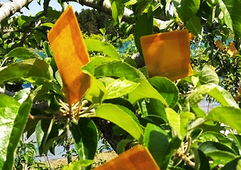 ܂