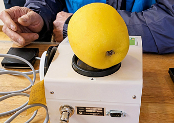 ���x�v�̍w��