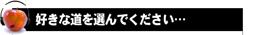 好きな道を選んでください…