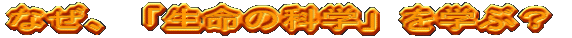 ̓ǂݕɂ 