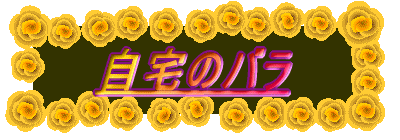 ̃o