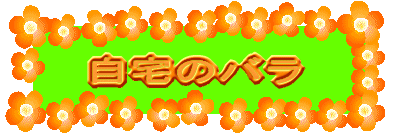 ̃o 
