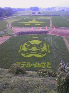 2008NAcATTԌ̓cڂ̗lq
