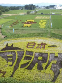2011NAcATTԌ̓cڂ̗lq