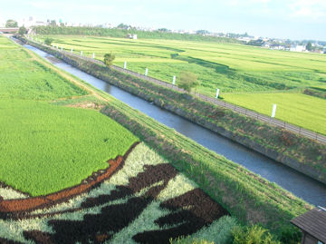 cژẻ