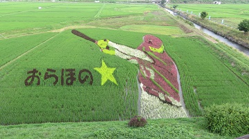 Ŏ҂
