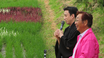KlỸXe[Wg[Ni2j