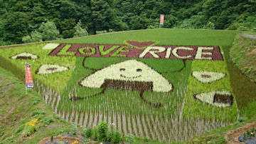 삳̒IcA[giV\sj