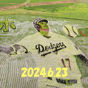 6.23 田植後３週間