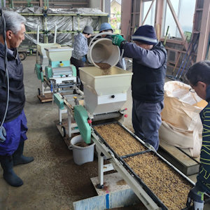 5.3 種に土を被せる｢覆土｣作業