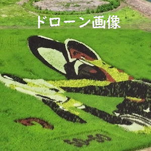 7.30 ドローン画像〔髙惣建設株式会社様提供〕