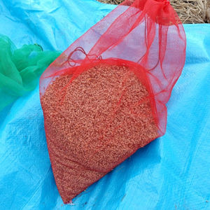 11.23 来年の種もみ