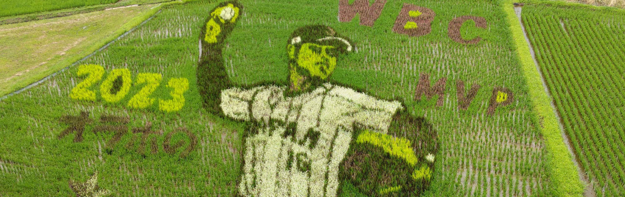 2023年/WBC_MVP おらほの☆スター