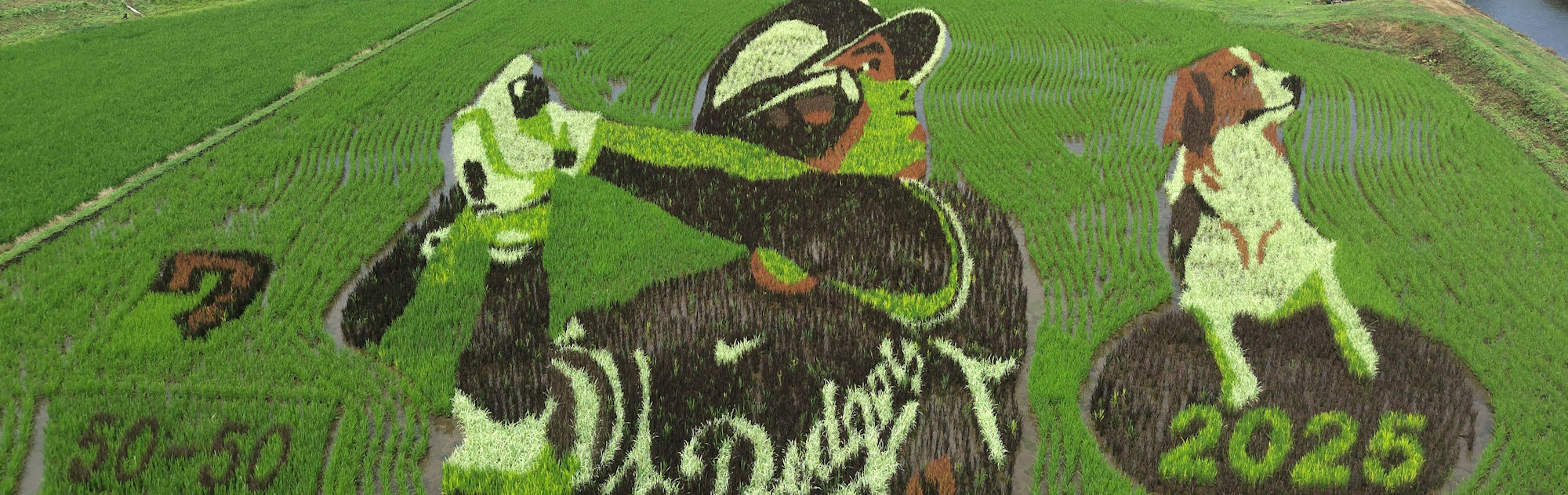 大谷翔平選手「野球しようぜ!2025編」