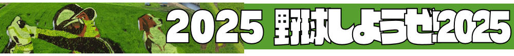 2025年 野球しようぜ!2025