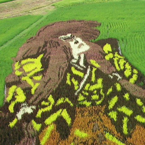 2015年/連獅子