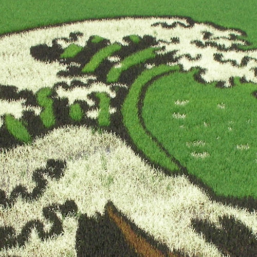 2014年/神奈川沖浪裏