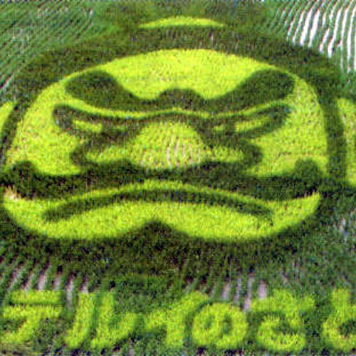 2008年/アテルイ王
