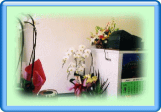 �t���[��