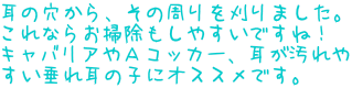 ̌A̎܂B Ȃ炨|₷łˁI LoA`RbJ[A ꎨ̎qɃIXXłB