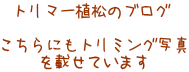 g}[ÃuO  ɂg~Oʐ^ ڂĂ܂