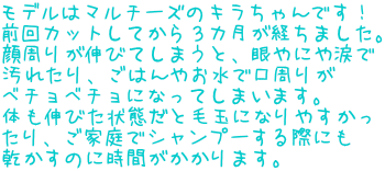 f̓}`[ỸLłI OJbgĂRJo܂B 肪LтĂ܂ƁAɂ܂ ꂽA͂₨Ō肪 x`x`ɂȂĂ܂܂B ̂LтԂƖыʂɂȂ₷ AƒŃVv[ۂɂ ̂ɎԂ܂B