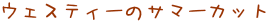 EFXeB[̃T}[Jbg