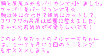 ƐKȊOoJŊ܂B Tbpăo[Wł ͑̂ɍ킹ĒZ߂ɃJbgāA tt̐KYɐ܂B ܂ۂ̂߂߂炵łI  ̂悤ȃJbg̃}`[Y ́AP`QɂP̃g~O IXX܂B