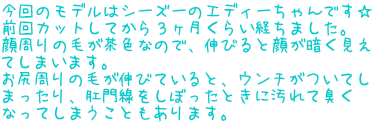 ̃f̓V[Y[̃GfB[ł OJbgĂR炢o܂B ̖тFȂ̂ŁALтƊ炪Â Ă܂܂B K̖тLтĂƁAE`Ă ܂AڂƂɉďL ȂĂ܂Ƃ܂B 