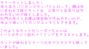 T}[Jbg܂I ̂oJŃTbpƊāA͑ ɍ킹ĒZJbg@Ɩڎ͉ ₷̂ŒZ܂B ̎Ƃ͔rŉ₷̂ŁA ̂ZoJŃXbLƂ܂B  ̂悤ȃJbg̃V[Y[ P`QɂP̃g~OIXX܂B  JbgIƃP[W̒ŃXXƖ ܂B