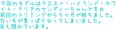 ̃f̓EGXgEnChEz CgEeÃTfB[ł Õg~OTo܂B тۂȂĂ܂܂B ڂBĂ܂B