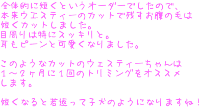 S̓IɒZƂI[_[ł̂ŁA {EGXeB[̃JbgŎc̖т ZJbg܂B ڎ͓ɃXbLƁB s[ƉȂ܂B  ̂悤ȃJbg̃EFXeB[ P`QɂP̃g~OIXX ܂B  ZȂƎԂĎq̂悤ɂȂ܂ˁI