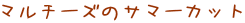 }`[ỸT}[Jbg 