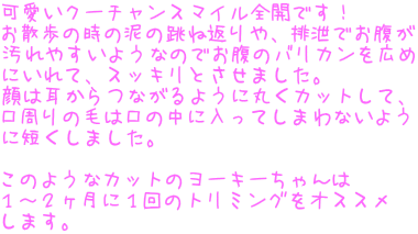 N[`X}CSJłI U̎̓D̒˕ԂArł ₷悤Ȃ̂ł̃oJL ɂāAXbLƂ܂B ͎Ȃ悤ɊۂJbgāA ̖т͌̒ɓĂ܂Ȃ悤 ɒZ܂B  ̂悤ȃJbg̃[L[ P`QɂP̃g~OIXX ܂B