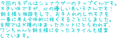 ̃f̓ViEU[̃`bvłB 傫̂łAS̗DǂqłI lƑkāÂ₷ ԂɍlS̓IɒZ邱Ƃɂ܂B @ł͌̌܂JbgɂƂꂸA ƎlɍX^C Ă܂B