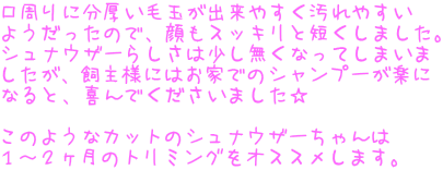 ɕыʂo₷₷ 悤̂ŁAXbLƒZ܂B ViEU[炵͏ȂĂ܂ Alɂ͂Ƃł̃Vv[y ȂƁAł܂  ̂悤ȃJbg̃ViEU[ P`Q̃g~OIXX܂B
