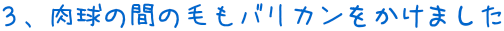 RÅԂ̖тoJ܂
