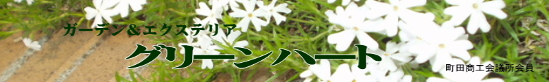 O[n[g