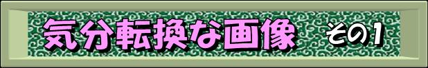 C]01