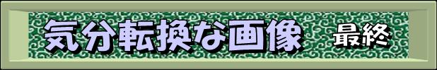 C]02