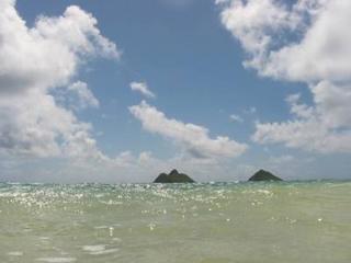 2004-05-29 16:16:19