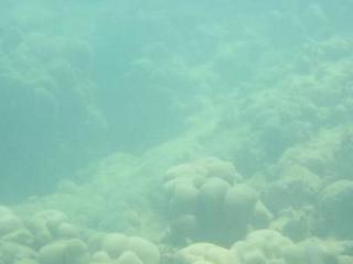 2004-05-29 16:16:13